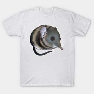 Elephant Shrew T-Shirt